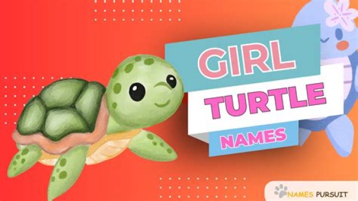 Adorable Girl Turtle Names To Melt Your Heart