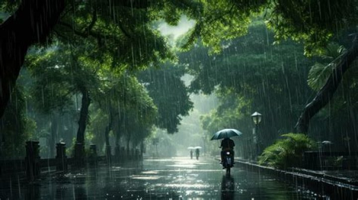 Capturing The Essence Of Wet Days