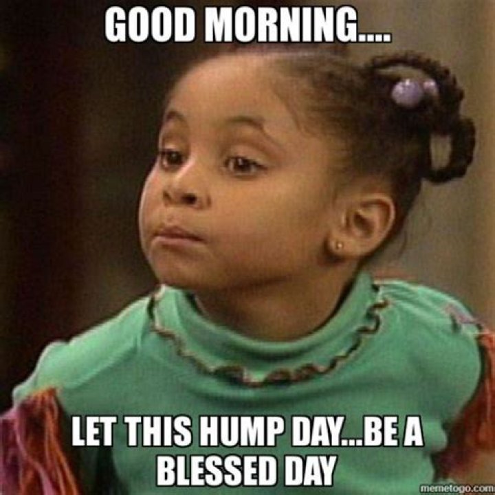 Good Morning Hump Day Meme