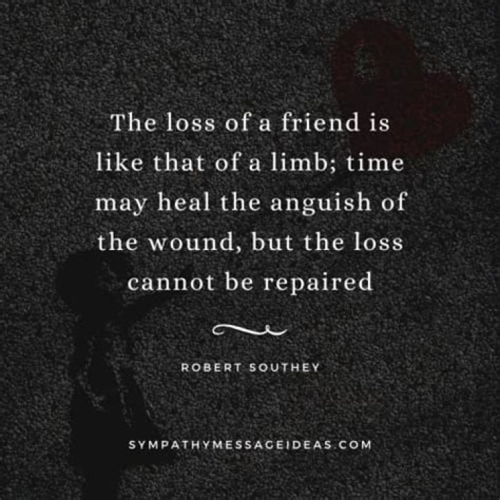 Losing A Friend Quotes