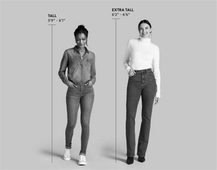 The Complete Guide On Dan And Shea's Heights: How Tall Are They?