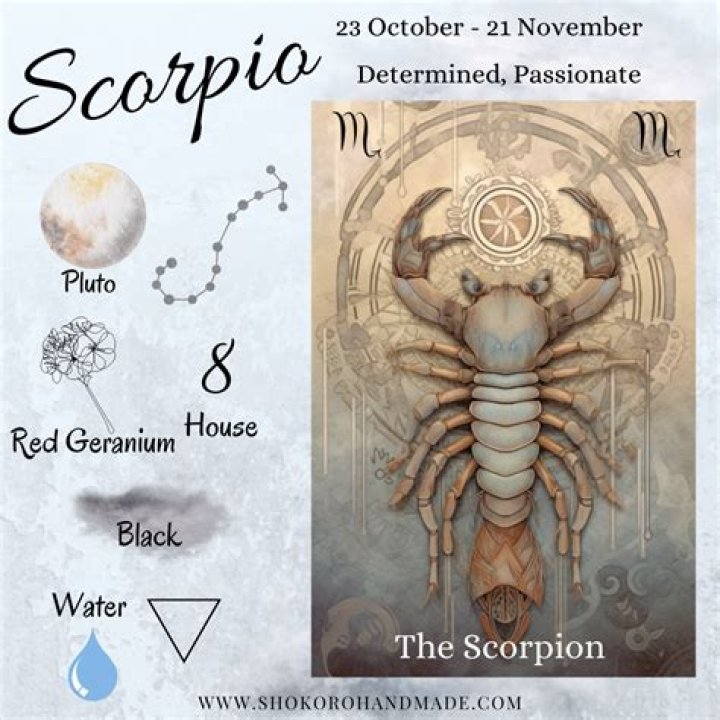 The Enigmatic Scorpio: Personality Traits, Compatibility, And More