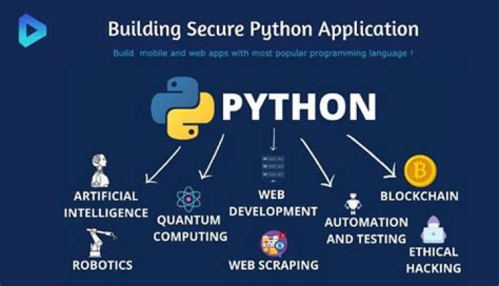 Unveiling The Genius Behind Python's Success: Colin Makiwara