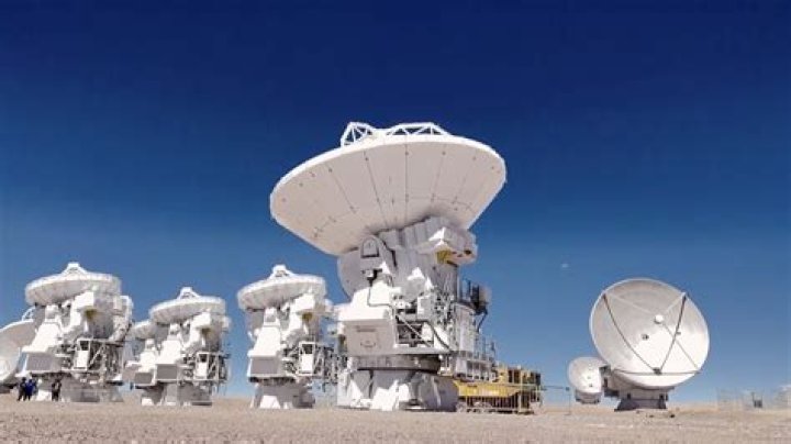 Unveiling The Secrets Of The Surya Sparrow: A Journey Of Discovery